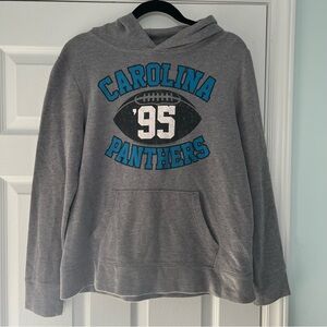 Gray Carolina Panthers Hoodie